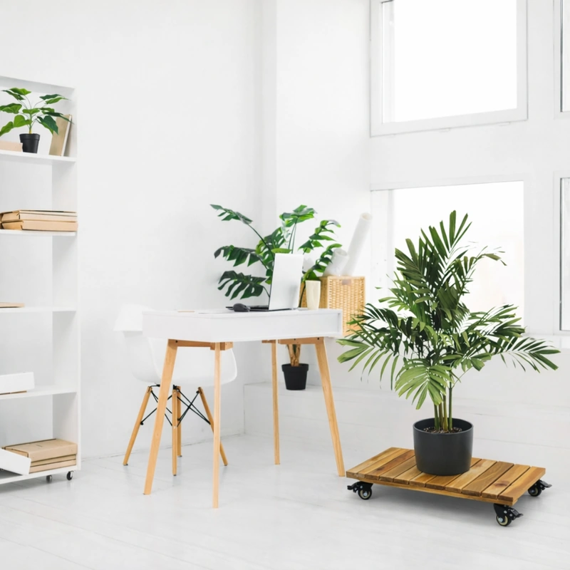 Wholesale Plant Caddy with Wheels Size 60x30cm 5 Rectangular golden acacia plant caddy supporting a potted palm in a bright home office