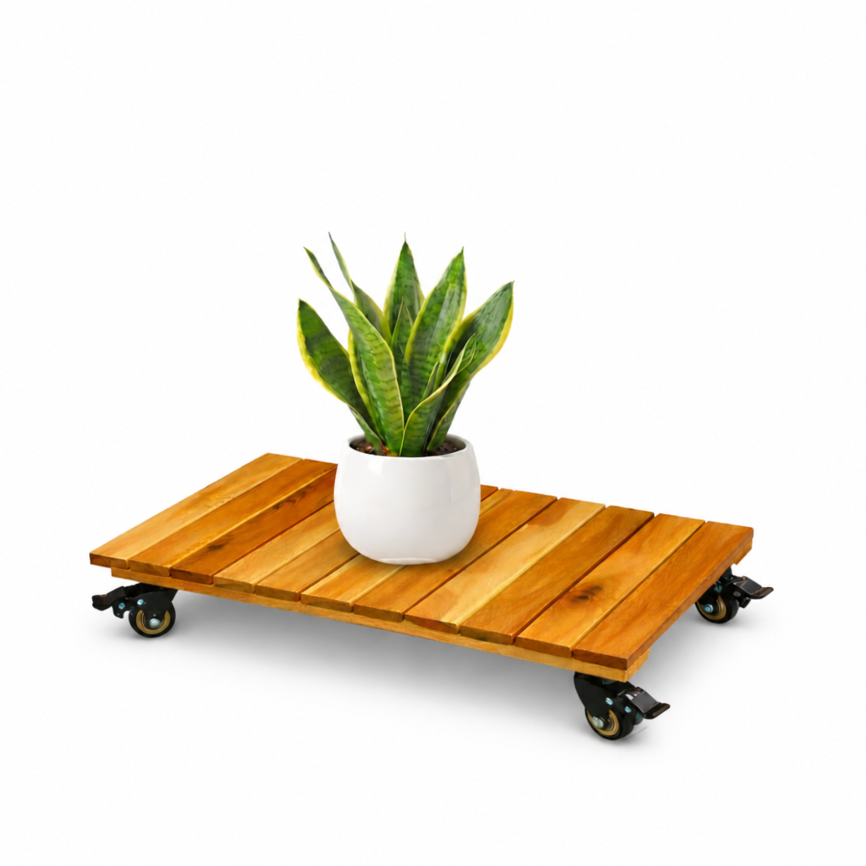 Wooden rolling plant caddy with a potted snake plant