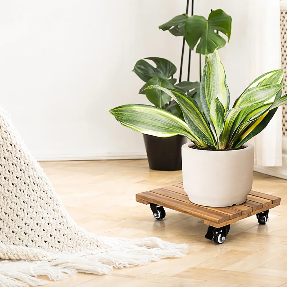 Rolling Plant Caddies in a styled setting