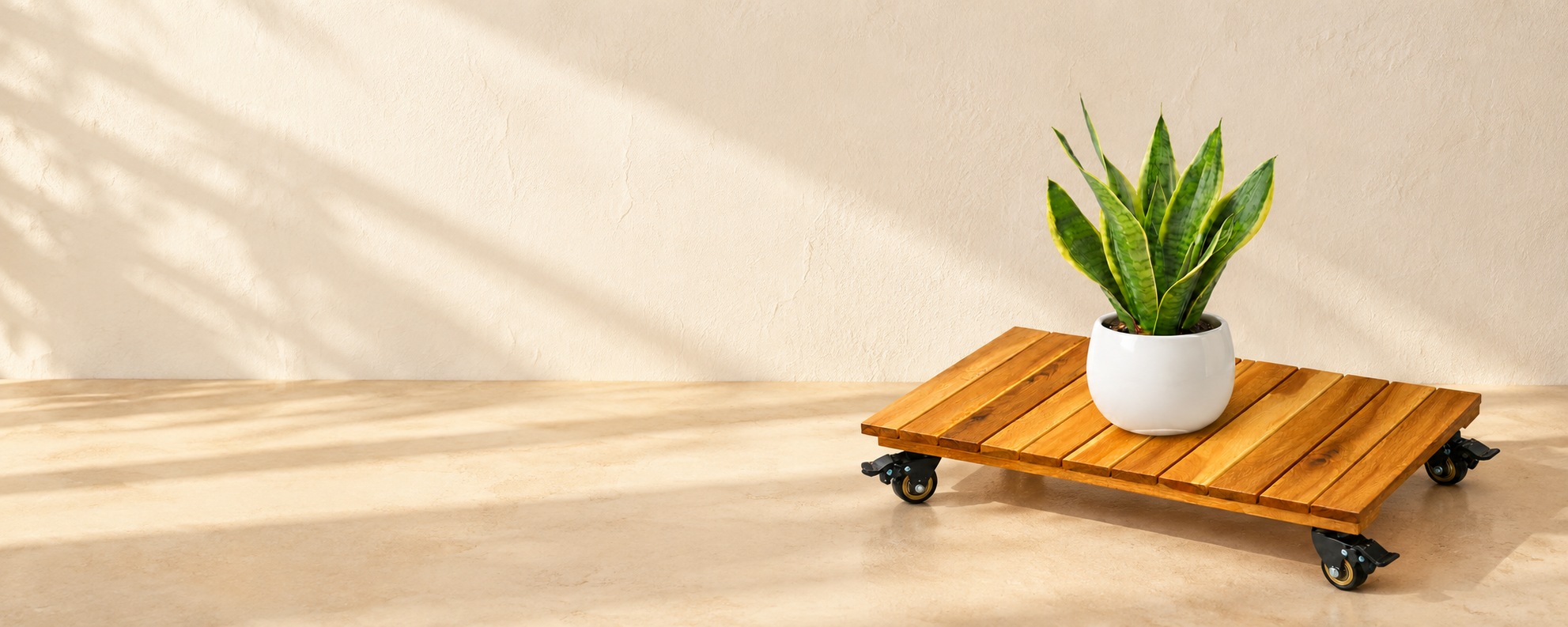 Wooden rolling plant caddy with a snake plant in a warm sunlit setting