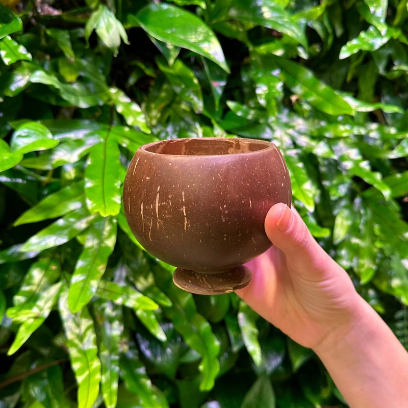 polished footed coconut shell cup A polished coconut shell cup held against a leafy outdoor background.