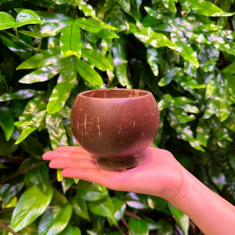 The rounded cup resting on a hand, with its low base visible.