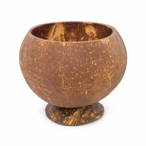 natural footed coconut shell cup product view