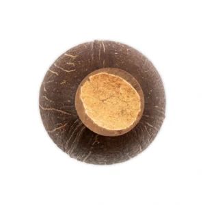 Underside view of the natural coconut shell cup and low base.